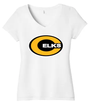 Ladies V Neck Tri Tee -CJG23