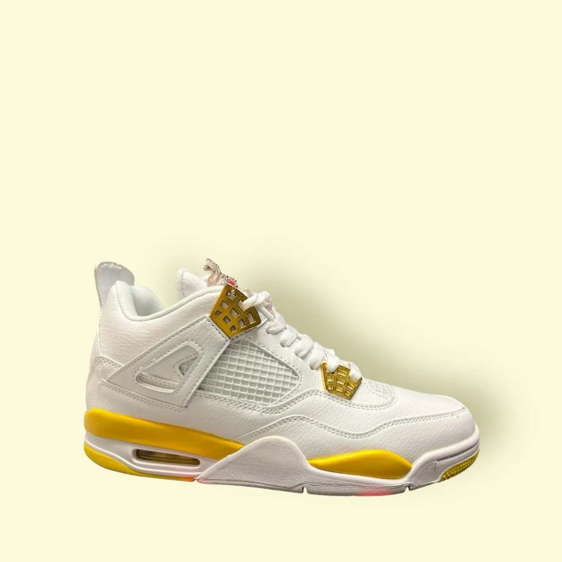 Nike Tracksuit & Air Jordan 4 Retro