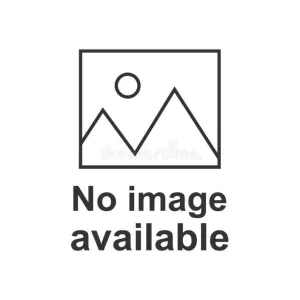 Patagonia Men's Fjord Flannel Shirt