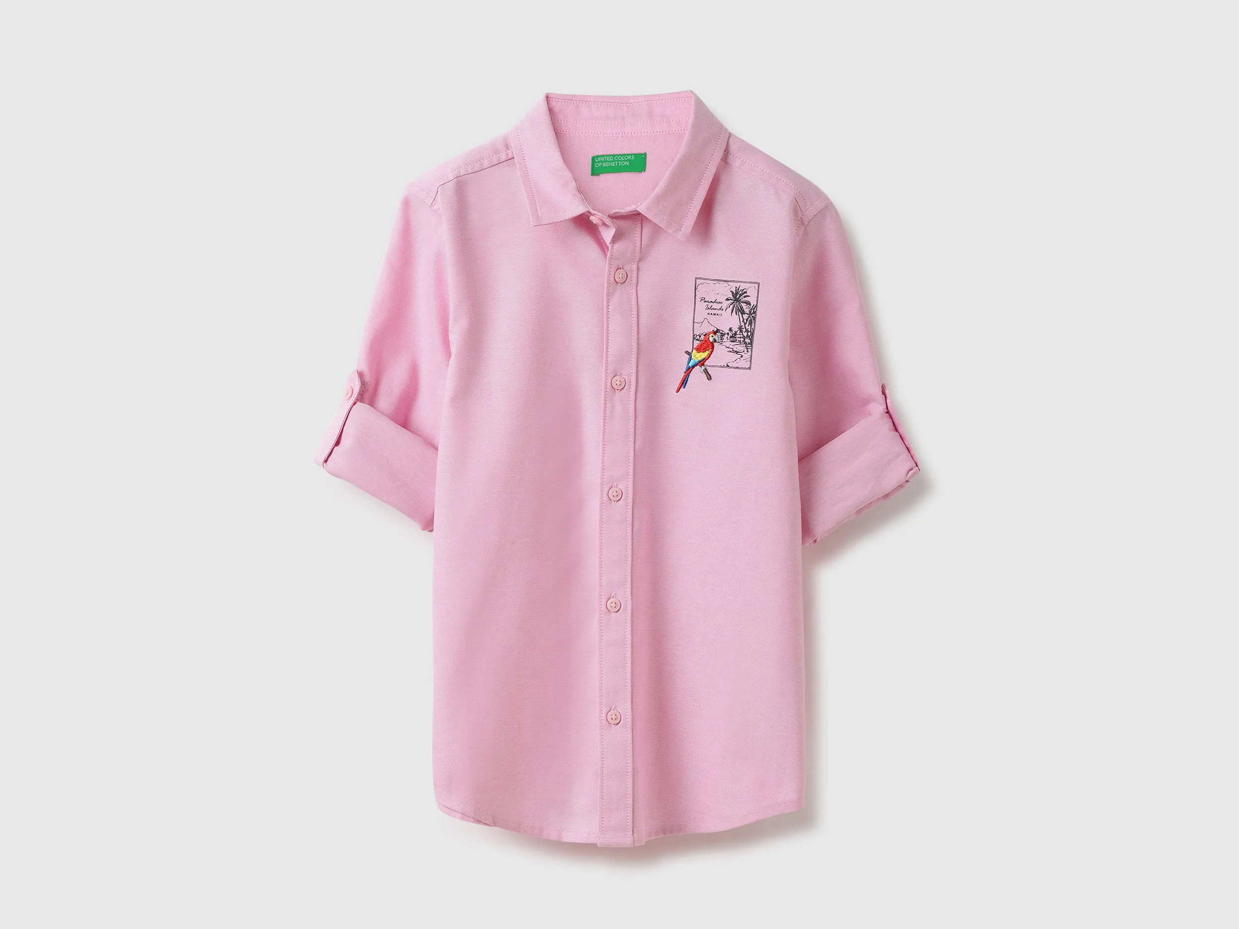 Regular Fit Spread Collar Solid & Embroidered Oxford Shirt