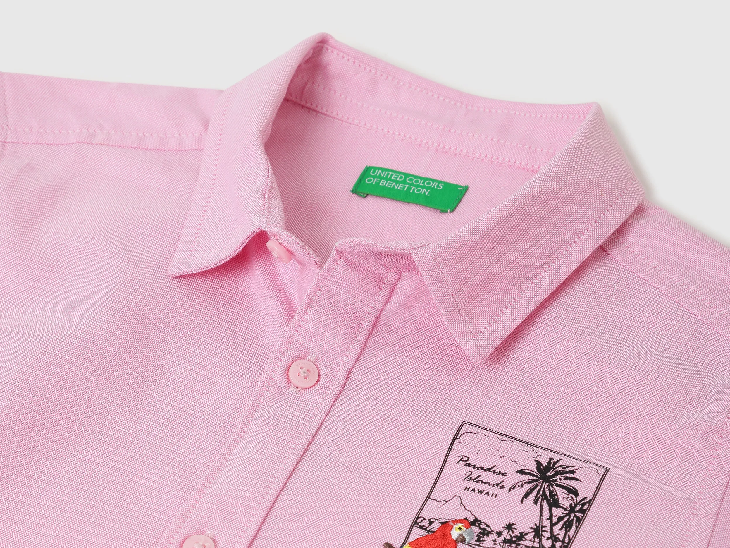 Regular Fit Spread Collar Solid & Embroidered Oxford Shirt